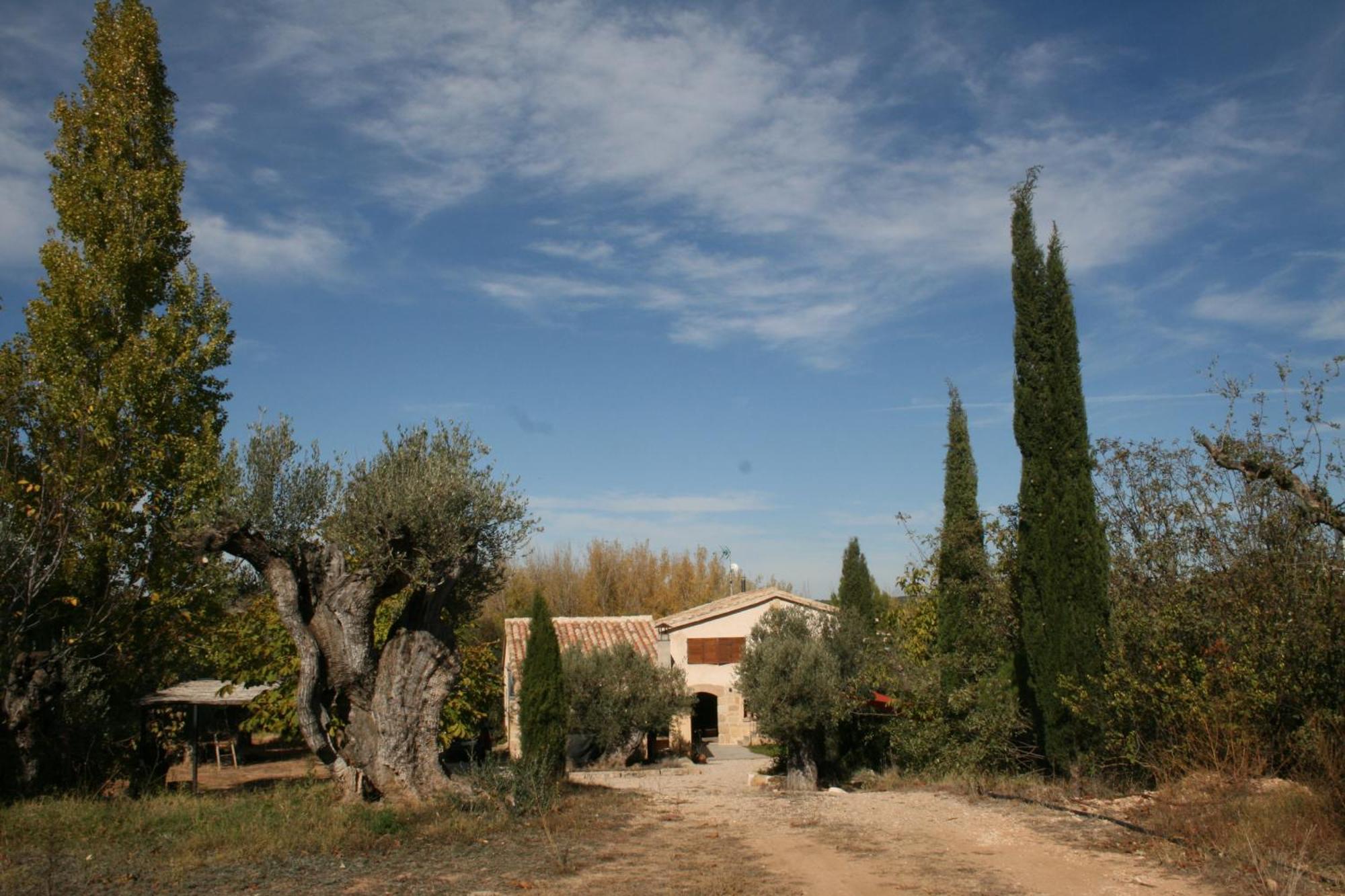 Maset Del Riu Guest House Valderrobres Exterior foto