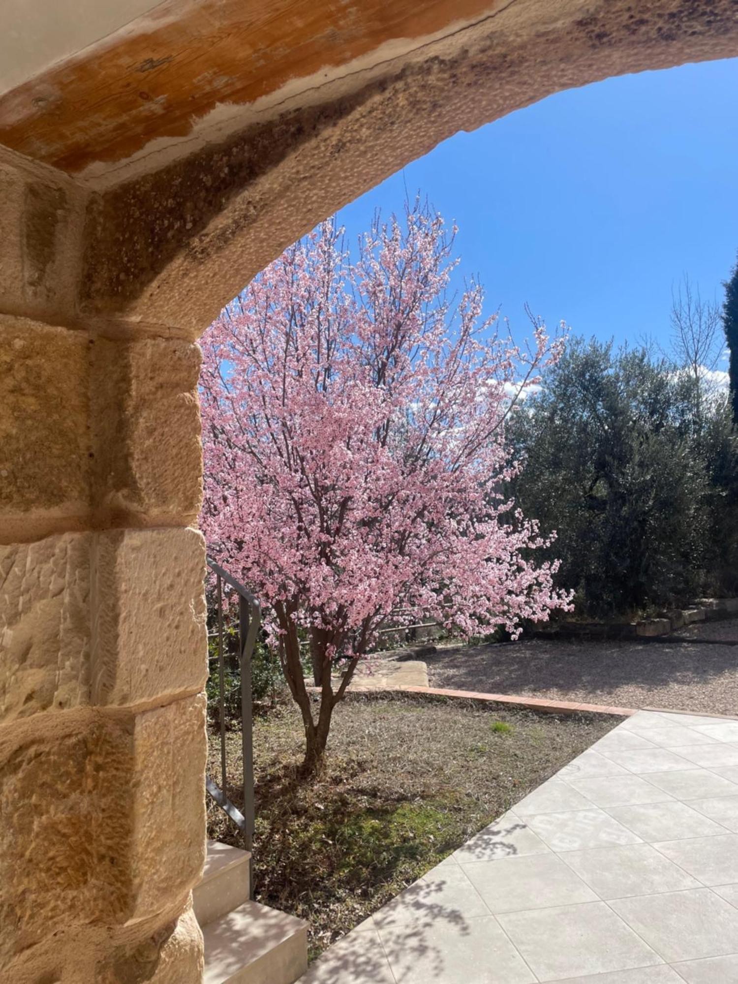 Maset Del Riu Guest House Valderrobres Exterior foto